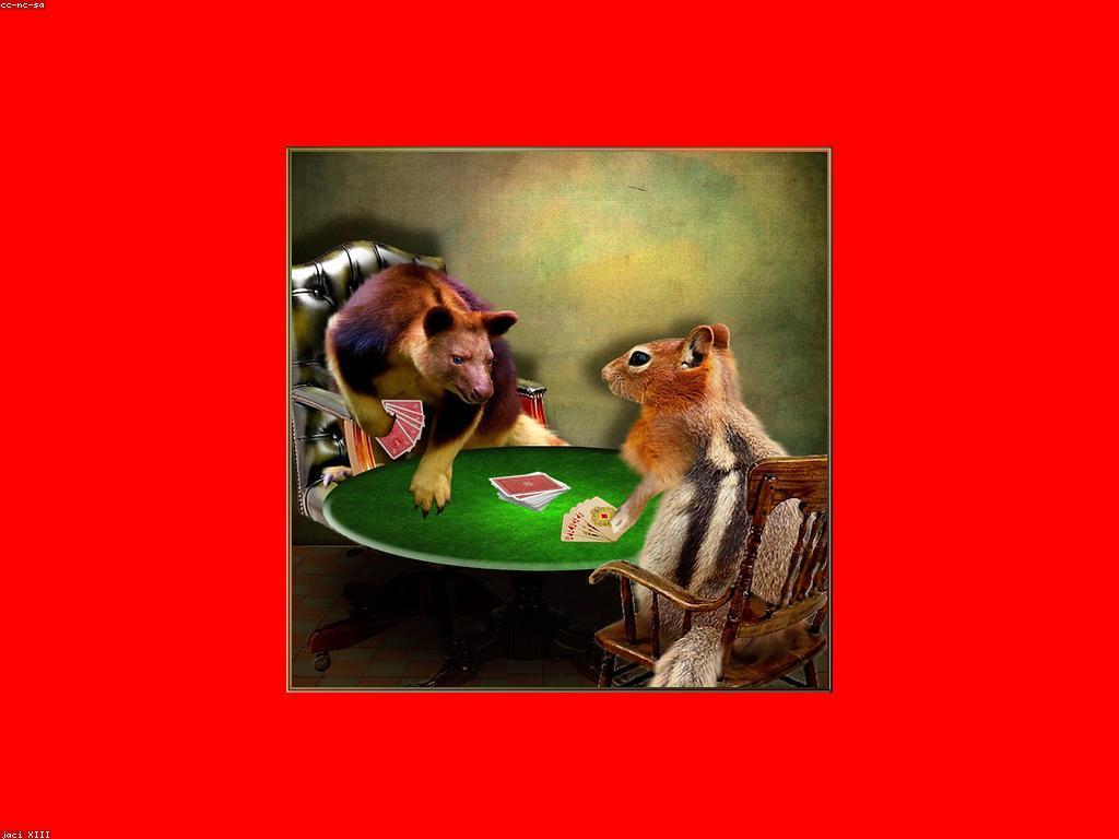 មគ្គូប្បន្នភាពនៃកាស៊ីណូអនឡាញ