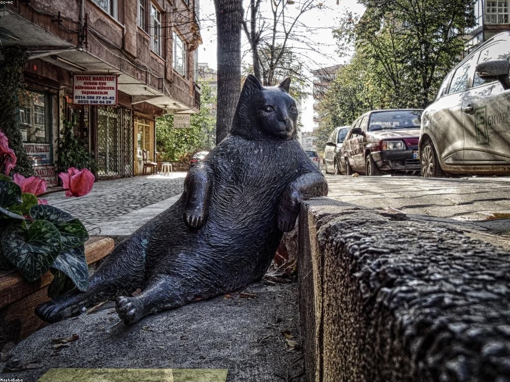 កម្មវិធី iOS ហើយតើពួកវាជាអ្វី?